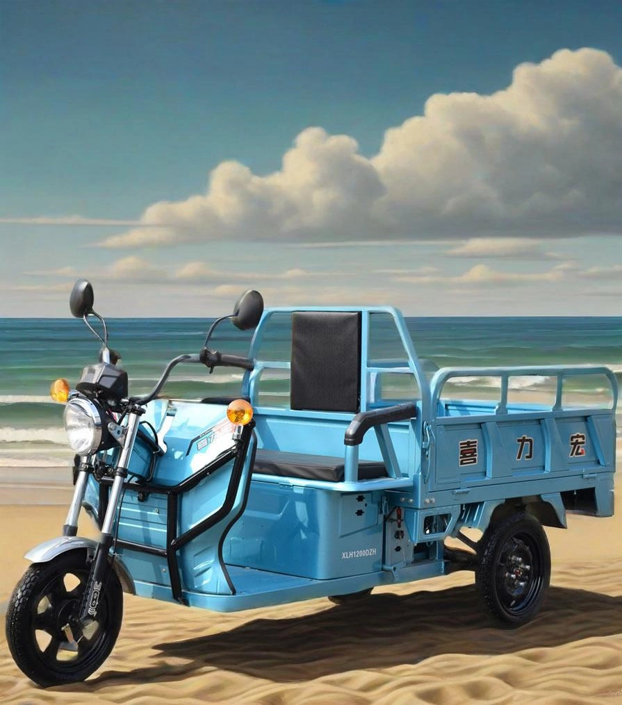 Sinoswift Electric tricycle Sinoswift Electric tricycle