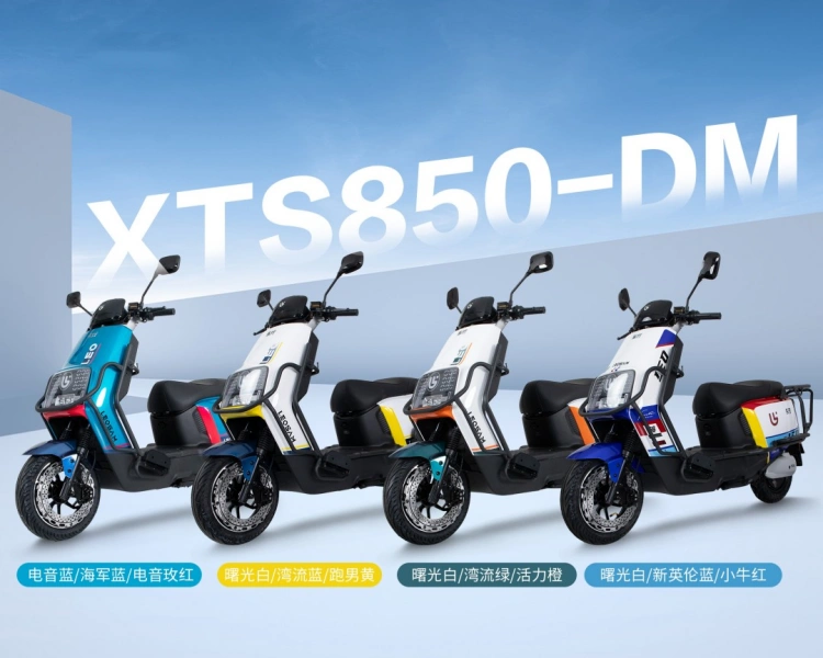 Tricycle électrique Sinoswift Tricycle électrique Sinoswift